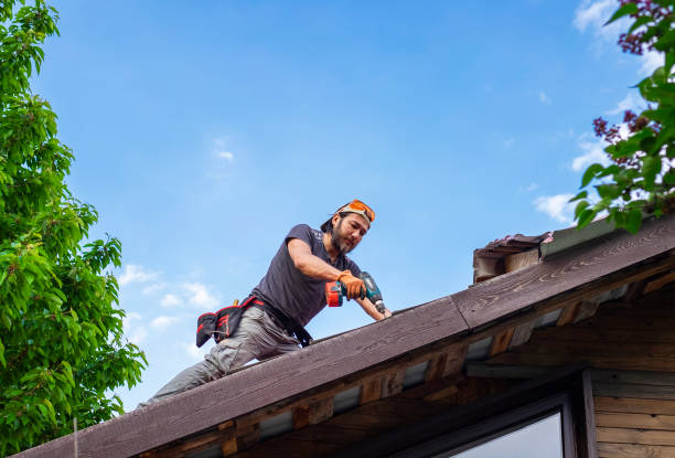 Best Gutter Installation and Repair  in Boynton Beach, FL